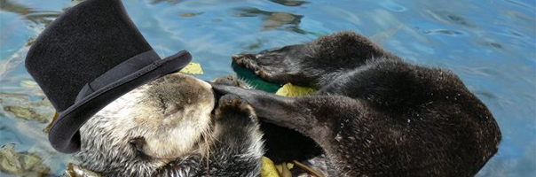 Ouverture Officielle de l'incroyable Elucubratoire de Sir Loutre-A-Lo